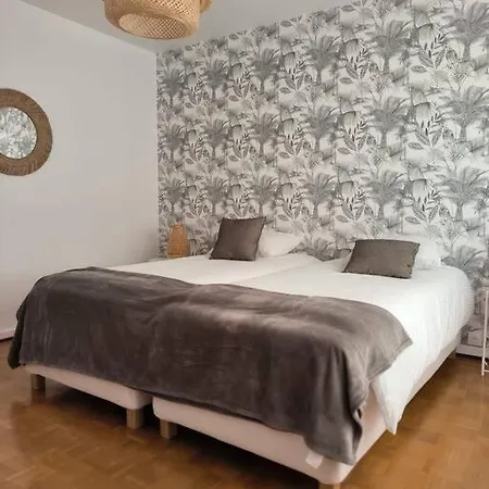 Appartement Centre-ville
